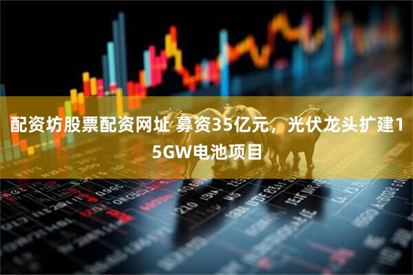 配资坊股票配资网址 募资35亿元，光伏龙头扩建15GW电池项目