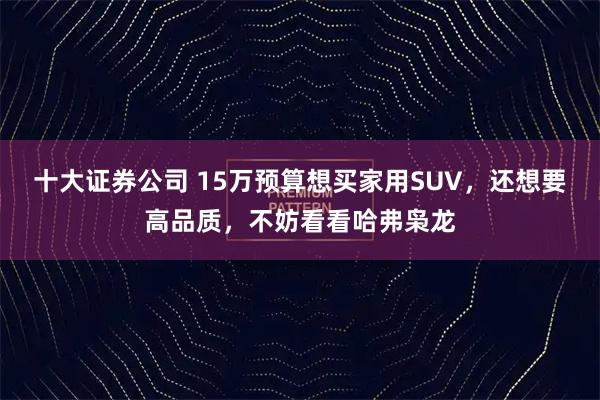 十大证券公司 15万预算想买家用SUV，还想要高品质，不妨看看哈弗枭龙